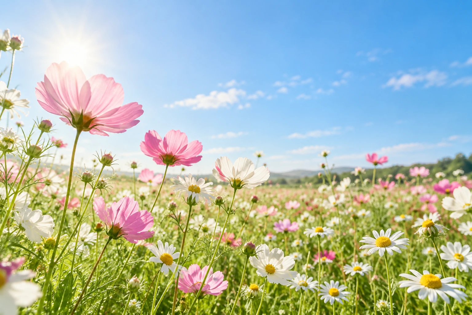 Pink and white flowers in a sunlit garden — AI-generated illustration